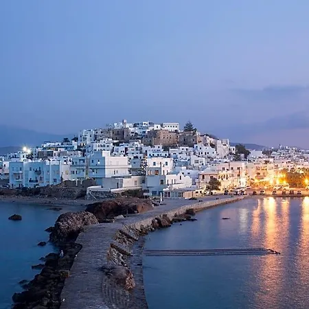 Naxos Finest فندق